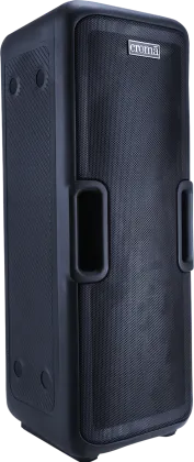 Croma CREA300DJA259901 50W Portable Speaker