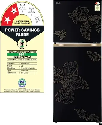 LG GL-S252ZROY 225 L 2 Star Double Door Refrigerator