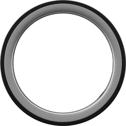 Pi Ring Pro