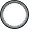 Pi Ring Pro