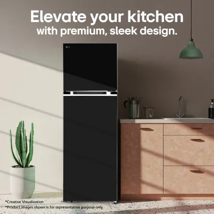 LG GL-S312SESX 272 L 2 Star Double Door Refrigerator