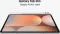 Samsung Galaxy Tab S10 Plus (Wi-Fi Only)