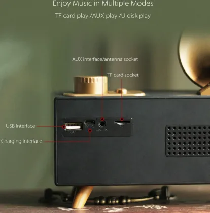 Walrus Woodpecker 12W Bluetooth Speaker