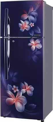 LG GL-T292RBPN 260L 4 Star Double Door Refrigerator