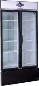 Rockwell RVC1100B 947 L Double Glass Door Visi Cooler