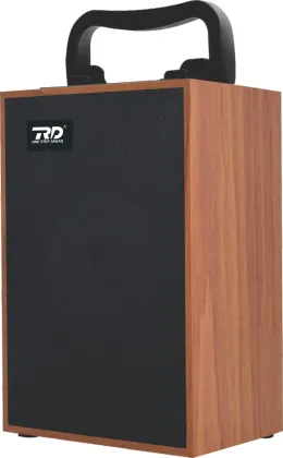 RD W-S73 5W Bluetooth Speaker