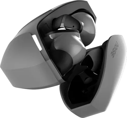 Noise Buds MVP102 True Wireless Earbuds