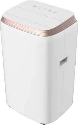 Lloyd LP12B01TP 1 Ton 2019 Portable AC