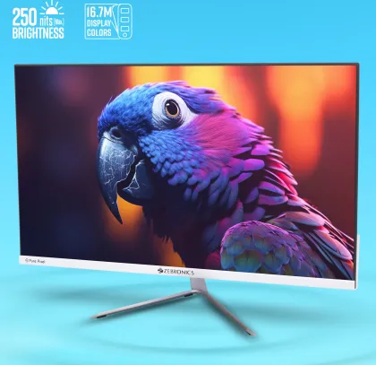 Zebronics Zeb-EA124 24 inch Full HD 100Hz Monitor