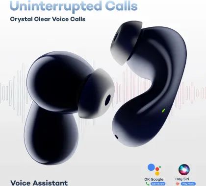 Pebble Wave Buds True Wireless Earbuds