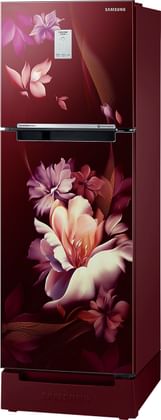 Samsung RT28B3C22RZ 244L 2 Star Double Door Refrigerator