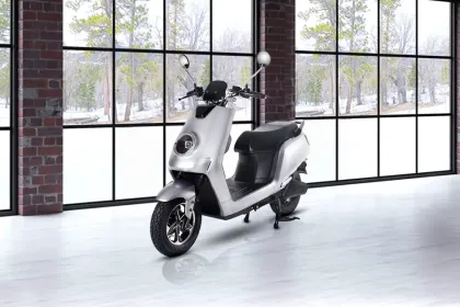 Joy e-Bike Glob