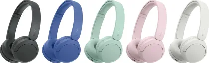 Sony WH-CH530 Wireless Headphones