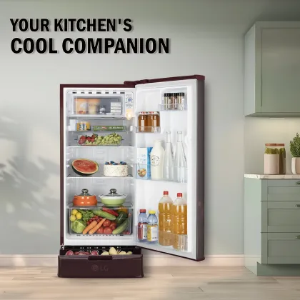 LG GL-D199OSFC 185 L 2 Star Single Door Refrigerator