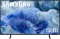Samsung Q8F 43 inch Ultra HD 4K Smart QLED TV (QN43Q8FAAFXZA)