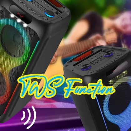 Zebronics Zeb-Buddy 200 100W Bluetooth Speaker