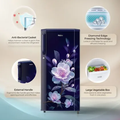 Haier HED-171MEA-P 165 L 1 Star Single Door Refrigerator