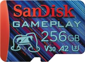 SanDisk Gameplay 256 GB Micro SDXC UHS-I Memory card