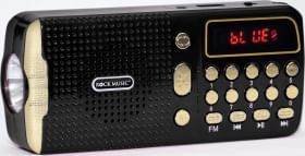 Fire Turtle Block Pocket FM Radio Bluetooth Speaker
