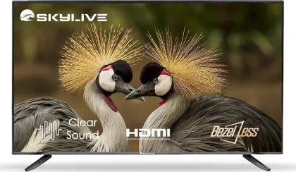 Skylive SL32S 32 inch HD Ready Smart LED TV