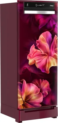 Whirlpool 215 VMPRO ROY 4S INV Wine 192 L 4 Star Single Door Refrigerator