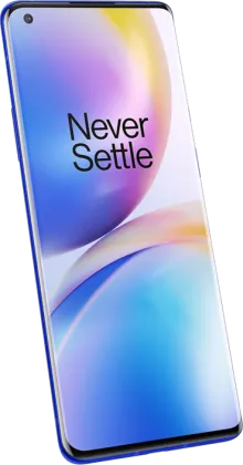 OnePlus 8 Pro (12GB RAM + 256GB)