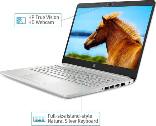 HP 14s-cs3009tu Laptop (10th Gen Core i5/ 8GB/ 1TB 256GB SSD/ Windows 10)