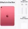Apple iPad 10th Gen Tablet (Cellular + 256GB)