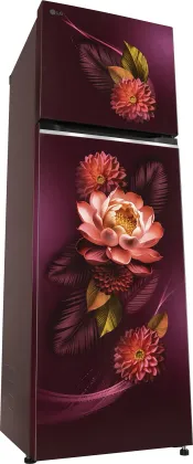 LG GL-S312SRWY 272 L 2 Star Double Door Refrigerator