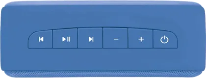 Saregama Carvaan Mini Ilaiyaraaja 5W Portable Speaker