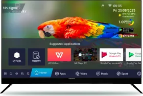 Limeberry LB55MU11BSNS5GV 55 inch Ultra HD 4K Smart LED TV