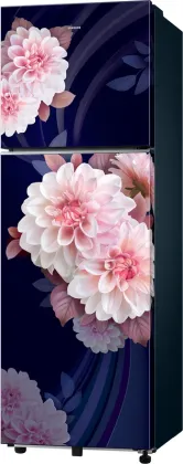 Samsung RT40H30U2BB 256 L 2 Star Double Door Refrigerator