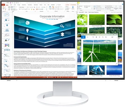 Eizo EV2485 24.1 inch Full HD Monitor