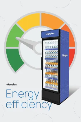 Frigoglass VG-295 285 L Single Glass Door Visi Cooler