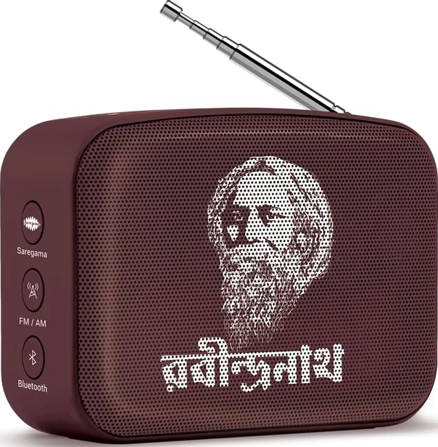 saregama mini price