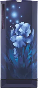 Godrej RD EDGEPRO 225D 43 TAI 210 L 4 Star Single Door Refrigerator