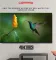 CompaQ Hueq X 65 inch Ultra HD 4K Smart QLED TV (CQV65GTQD)