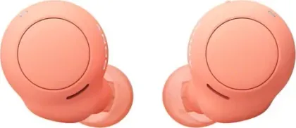 Sony WF-C500 True Wireless Earbuds