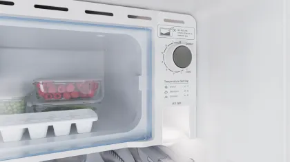 Bosch COT18R01EI 185 L 1 Star Single Door Refrigerator