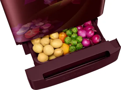 Samsung RR21H2H24HT 189 L 4 Star Single Door Refrigerator