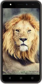 Intex Aqua Lions T1