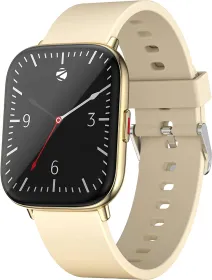 Zebronics ZEB-FIT5220CH Smartwatch
