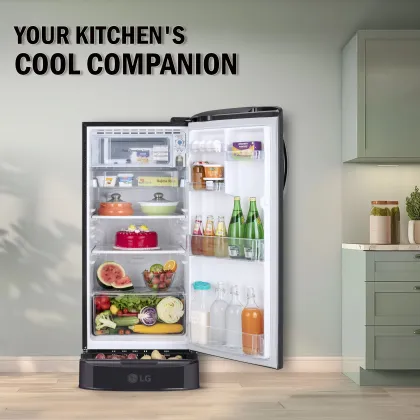 LG GL-D201AEFU 185 L 5 Star Single Door Refrigerator