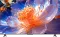 iFFALCON U64 43 inch Ultra HD 4K Smart LED TV (iFF43U64)