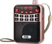 MZ M63VP 3W FM Radio