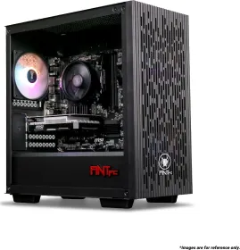 Ant PC Argentine RZ650X Tower PC (AMD Ryzen 5 5600X/ 8 GB RAM/ 256 GB SSD/ Win 10/ 4 GB Graphics)