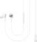 Samsung EO-IC100 Type-C Wired Earphones
