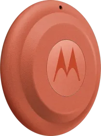 Moto Tag 2