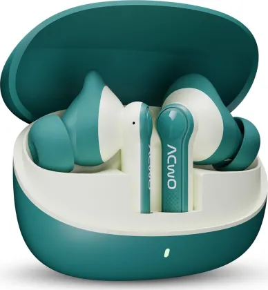 ACwO DwOTS 313 True Wireless Earbuds
