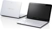 Sony VAIO SVE14123CN Laptop(Core i3/2GB/ 500 GB / Windows 8)